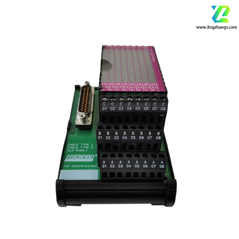 FOXBORO P0916CC  I/A Series Modules