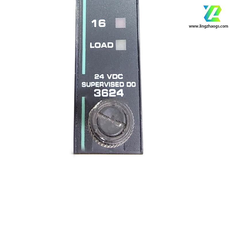 Triconex 3624 Digital Input/Output Module
