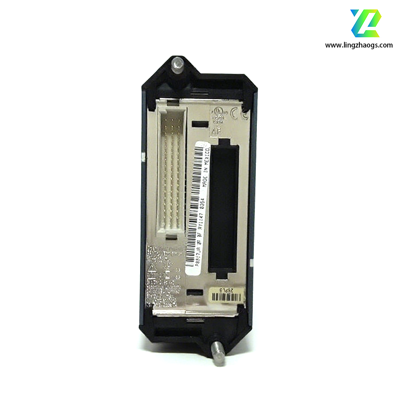 Foxboro P0914SQ Fieldbus Module